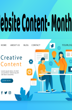 Website Content- 1 Mth 'SUBCSRIPTION(iphone users:(Sorry,your session has expired): go allow all cookies on settings-safari)